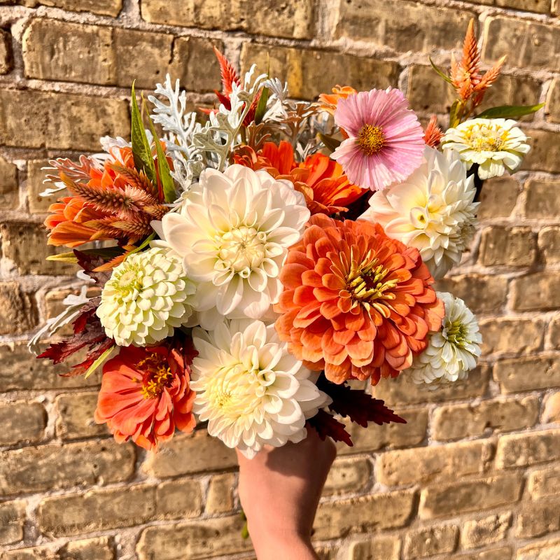 White and peach flowers in a bouquet against a cream city brick wall